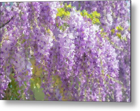 Wisteria Metal Print featuring the painting Wisteria in Bloom by Alex Mir