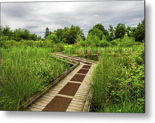Alex Lubar Metal Print featuring the photograph Wooden walking path in the natural park by Alex Lyubar