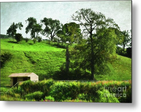Woodhall Metal Print featuring the photograph Woodhall Landscape by Yvonne Johnstone