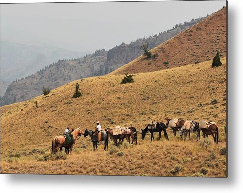 Western Art Metal Print featuring the photograph Wyoming Meet n' Greet by Alden White Ballard