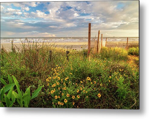 Yellow Flowers Metal Print featuring the photograph Yellow Flowers At Galveston Beach by James Eddy
