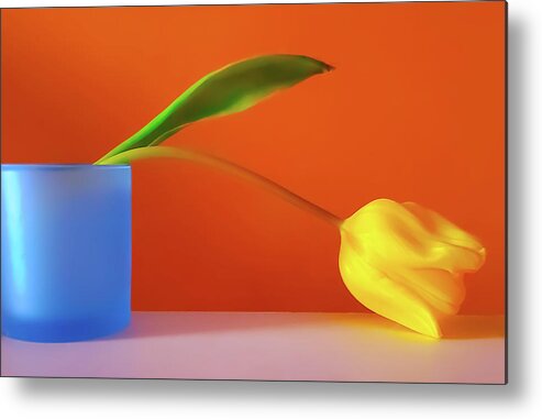 Art Metal Print featuring the photograph Yellow Tulip Still Life by Joan Han