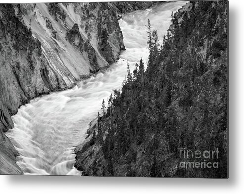  Metal Print featuring the photograph Yellowstone River by Vincent Bonafede