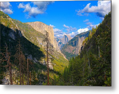 Landscape Metal Print featuring the photograph Yosemite Valley by Jason Judd
