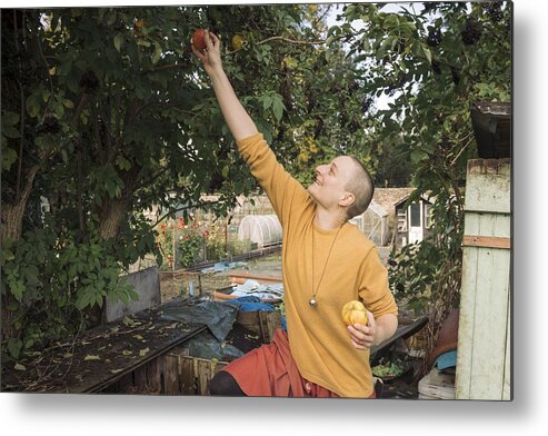 Environmental Conservation Metal Print featuring the photograph Young woman picking apples by Theasis