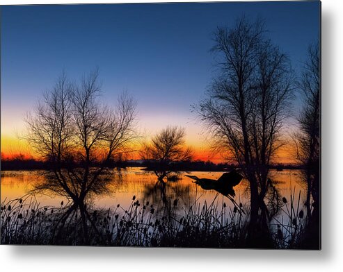 Wetlands Metal Print featuring the photograph Zen Dawn by Kathleen Bishop