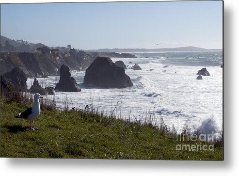 Landscape Metal Print featuring the photograph Bodega Bay California #2 by Haleh Mahbod