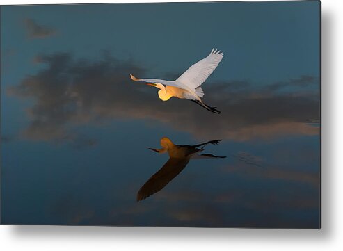 Birds Metal Print featuring the photograph Sunset Flight #1 by Bill Martin