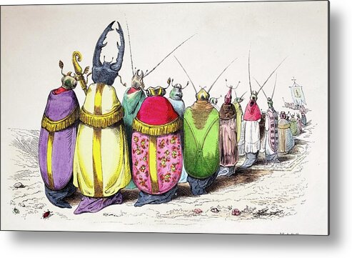 Animaux Metal Print featuring the photograph 1842 Caricature Coloured Church Beetles by Paul D Stewart