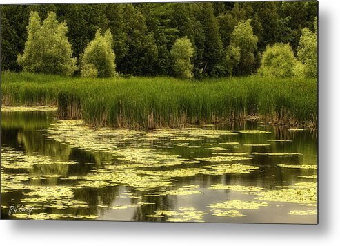 Canada Metal Print featuring the photograph Across the Pond by Phill Doherty