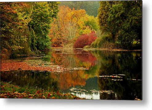 Autumn Metal Print featuring the photograph Autumn Pond by Marilyn Wilson