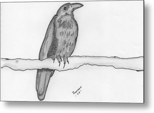 Bird Art Metal Print featuring the drawing Bird 2 by Dan Twyman