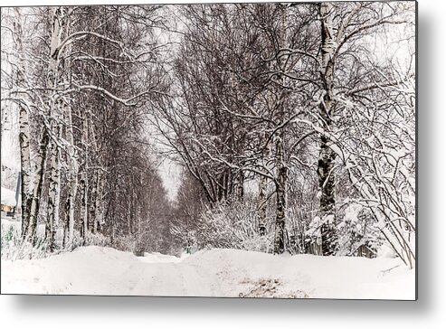 Snow Metal Print featuring the photograph By the Snowy Path. Russia by Jenny Rainbow
