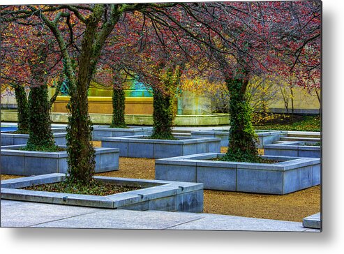 Trees Metal Print featuring the photograph Chicago Art Institute South Garden by Raymond Kunst