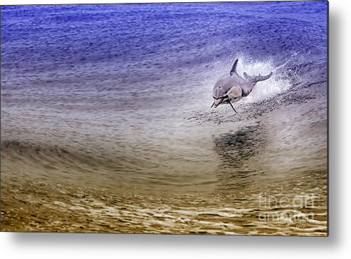 Dolphin Metal Print featuring the photograph Dolphin Jumping by David Millenheft