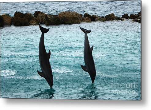 Dolphin Metal Print featuring the photograph Upside down by Adriana Zoon
