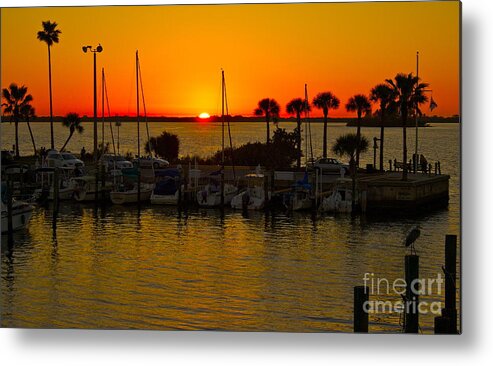 Sunset Metal Print featuring the photograph Dunedin Sunset by Alice Mainville