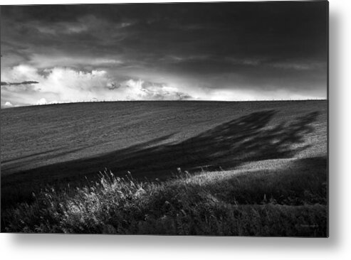 Black And White Metal Print featuring the photograph Earth Voices by Theresa Tahara
