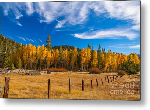 Landscape Metal Print featuring the photograph Faithful Fall by Charles Garcia