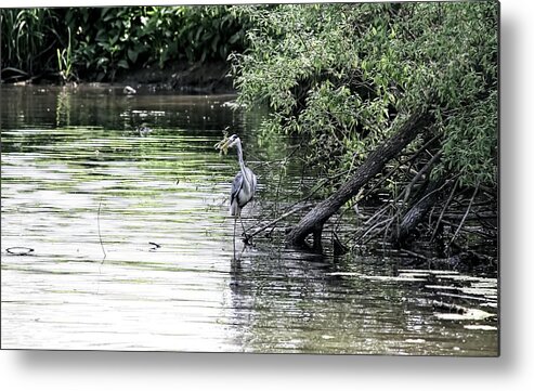  Metal Print featuring the photograph Fisherman waiting by Leif Sohlman