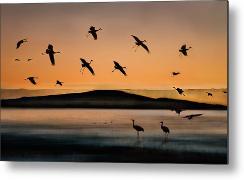 Lake Metal Print featuring the photograph Fly-in At Sunset by Shenshen Dou