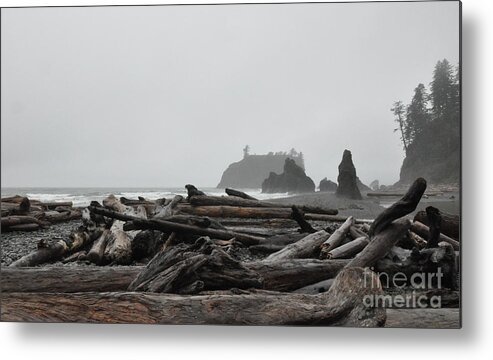 Morning Metal Print featuring the photograph Foggy Morning on the Washington Coast 2 by Tatyana Searcy