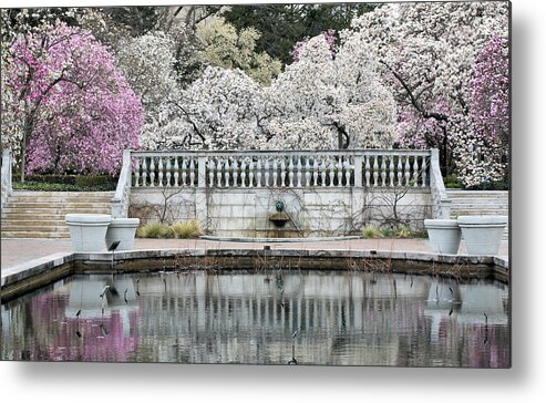 Garden Metal Print featuring the photograph In Bloom by JC Findley