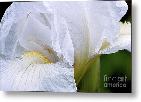 Ron Roberts Metal Print featuring the photograph Iris Abstract by Ron Roberts