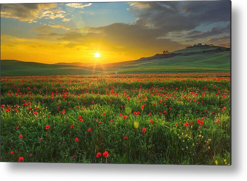 Tranquility Metal Print featuring the photograph Landscape with poppies in Tuscany, Italy at sunset by Mammuth