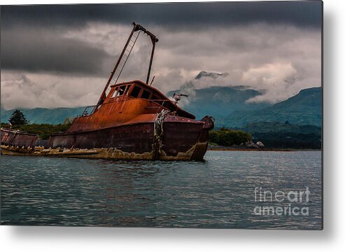 Nature Metal Print featuring the photograph Leaning Over by Steven Reed