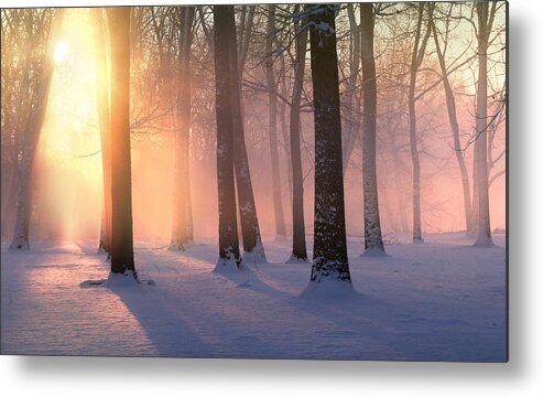 Sunrise Metal Print featuring the photograph Presence of Light by Rob Blair