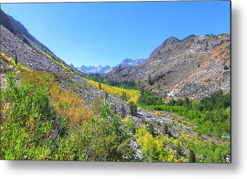 White Mountain Metal Print featuring the photograph Scenic Peace by Marilyn Diaz
