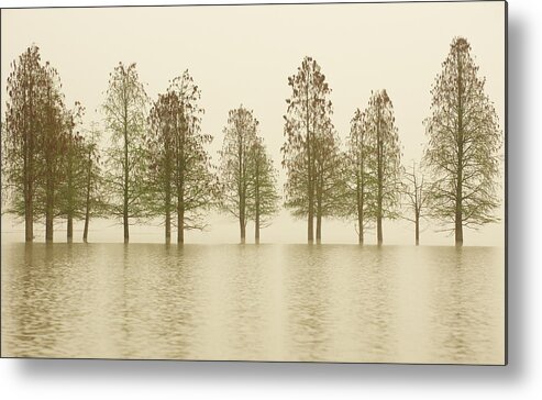 Scenics Metal Print featuring the photograph Silence by Sandsun