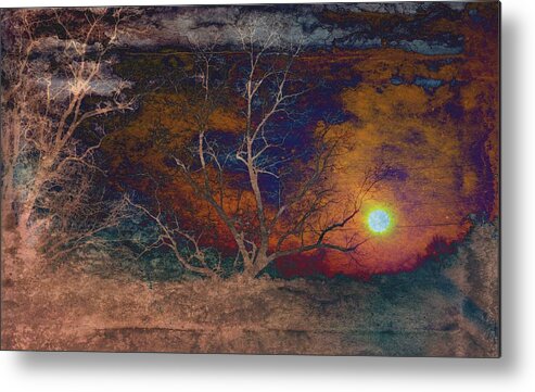 Fantasy Metal Print featuring the photograph Sinuosity by Jan Amiss Photography