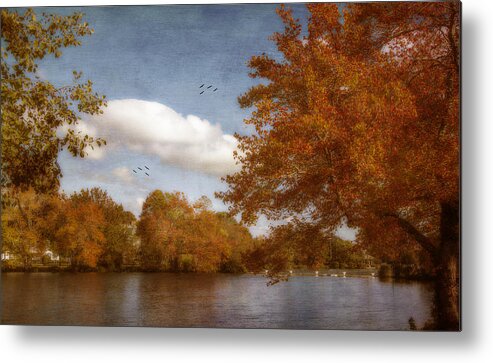 Autumn Metal Print featuring the photograph Softly Autumn by Cathy Kovarik