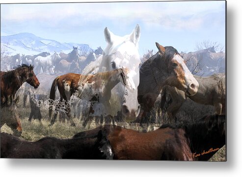 Horses Metal Print featuring the photograph The Herd 2 by Kae Cheatham