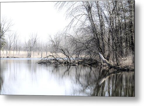 Marsh Metal Print featuring the photograph The Marsh by Julie Palencia