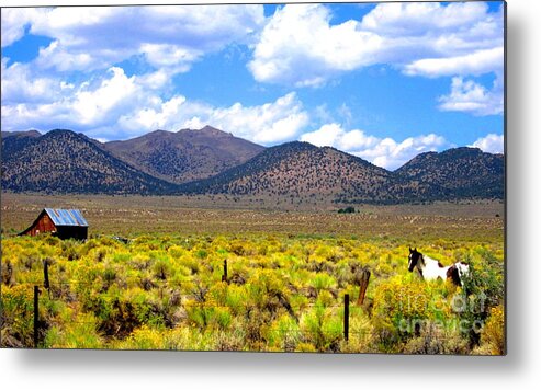 Building Metal Print featuring the photograph The Ranch by Marilyn Diaz