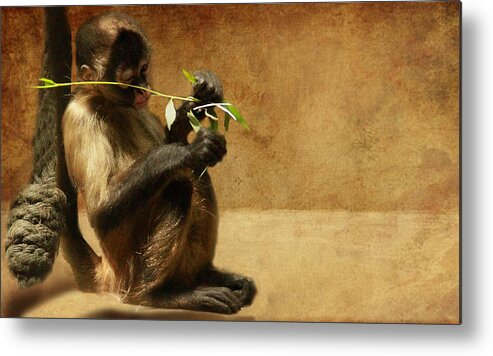 Monkey Metal Print featuring the photograph Thinking monkey by Christine Sponchia
