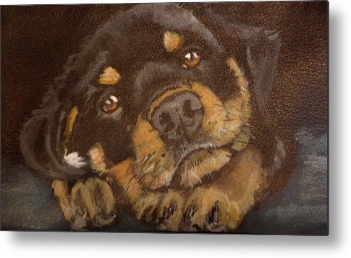 Rottweiler Metal Print featuring the painting Tommy by Carol Russell
