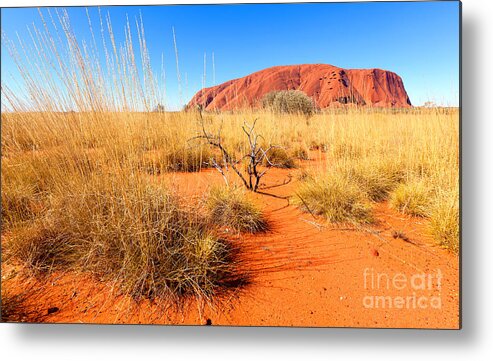 Uluru Ayers Rock Outback Australia Australian Landscape Central Northern Territory Metal Print featuring the photograph Central Australia by Bill Robinson