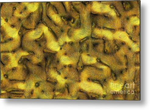 Abstract Metal Print featuring the digital art Furreyes by Ronald Bissett