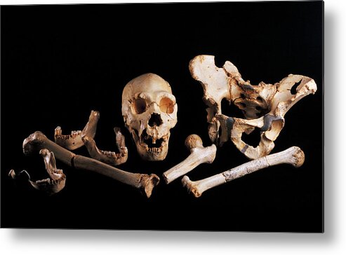 Homo Heidelbergensis Metal Print featuring the photograph Human Fossils, Sima De Los Huesos by Javier Truebamsf