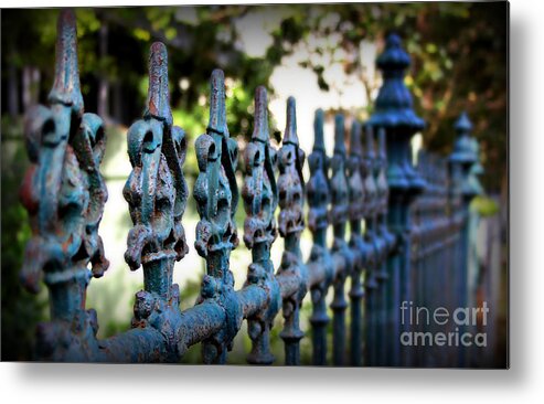 Fence Metal Print featuring the photograph Iron Fence by Perry Webster