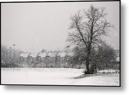 Branches Metal Print featuring the photograph Snow Scape London SW by Lenny Carter
