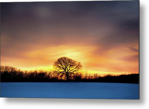  Metal Print featuring the photograph Fire In The Sky by Dan Hefle