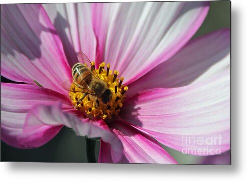 Bee Metal Print featuring the photograph Busy Bee #3 by Yumi Johnson
