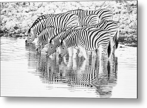 Africa Metal Print featuring the photograph A family that drinks together. by Usha Peddamatham