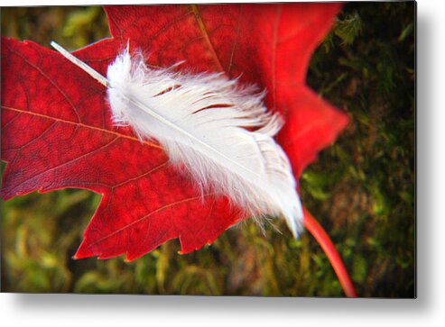 Red Metal Print featuring the photograph A Perfect Fall by KATIE Vigil