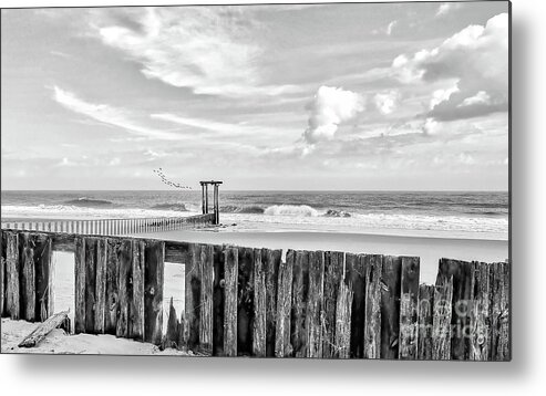 Black And White Metal Print featuring the photograph After The Storm Black And White by Kathy Baccari